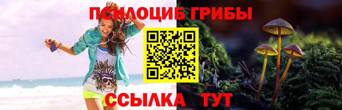 Псилоцибиновые грибы мицелий Заречный